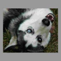 UpsideDown Husky posters