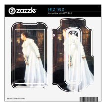 Upstairs by James Tissot HTC Tilt 2 Decals
