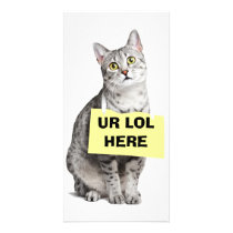 UR LOL HERE CUSTOMIZED PHOTO CARD