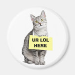 UR LOL HERE REFRIGERATOR MAGNET