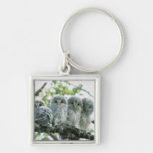 Ural owetsl. Ikeda-machi, Hokkaido, Japan Keychains