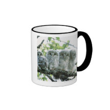 Ural owetsl. Ikeda-machi, Hokkaido, Japan Mugs