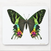 Urania Sunset Moth Mousepad