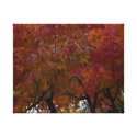 Urban Autumn wrappedcanvas