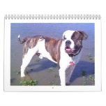 Urban Doo Crash Calendar