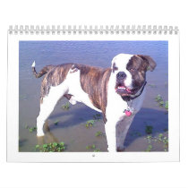 Urban Doo Crash Calendar