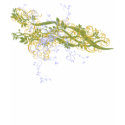 Urban Floral t-shirts