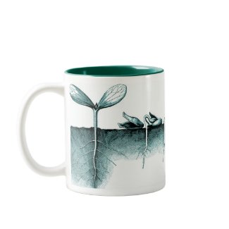 Urban Gardener - Sprouting Seeds Mug mug