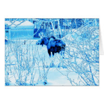 Urban Moose Greeting Cards