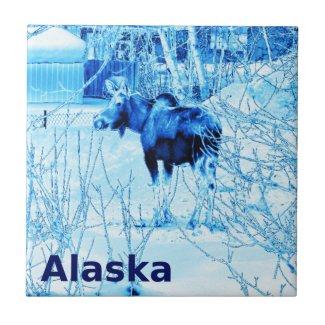 Urban Moose