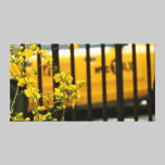 Urban Nature canvas prints