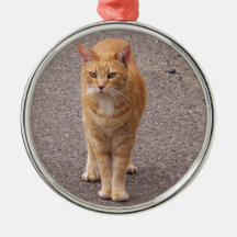 Urban Tiger Christmas Ornaments