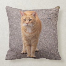 Urban Tiger Pillows