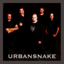 Urbansnake Poster posters by urbansnakestore Urbansnake Poster posters