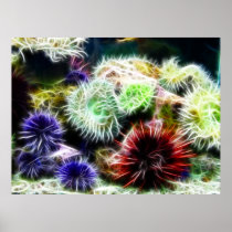 Urchin Bed Poster