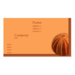Urchin business cards