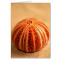 Urchin cards