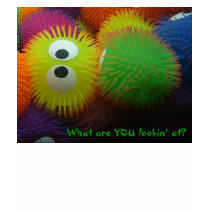Urchin Fun t-shirts by JRobinwhitley Urchin Fun t-shirts