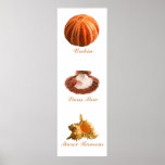 Urchin, Lions Paw, Murex Ramous posters