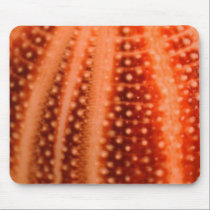 Urchin mousepads