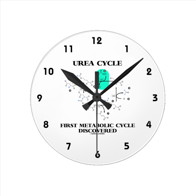 Urea Cycle First Metabolic Cycle Discovered Round Wallclocks