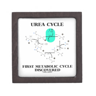 Urea Cycle First Metabolic Cycle Discovered Premium Gift Boxes