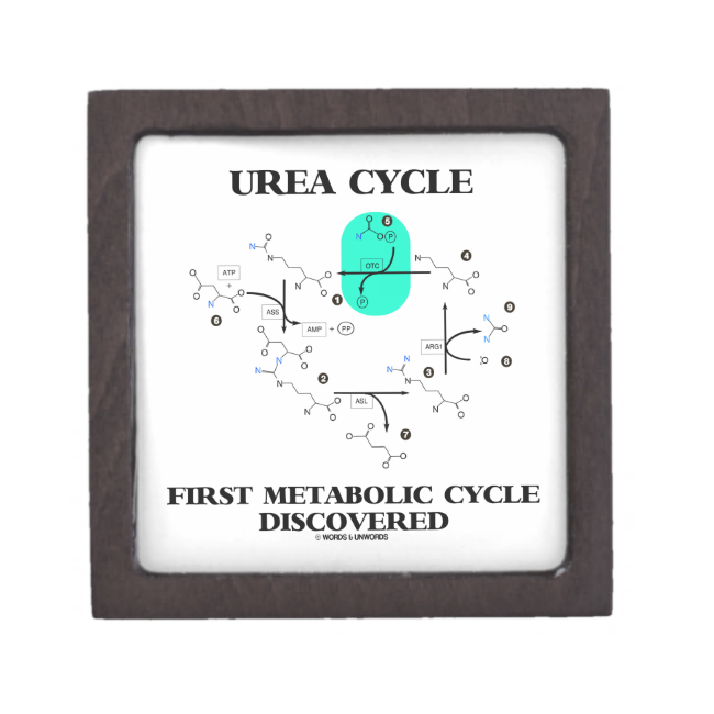 Urea Cycle First Metabolic Cycle Discovered Premium Gift Boxes