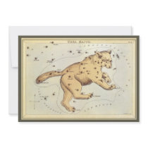 Ursa Major Constellation invitations by YesterdayCafe Ursa Major Constellation invitations