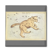 Ursa Major Constellation magnets by YesterdayCafe Ursa Major Constellation magnets