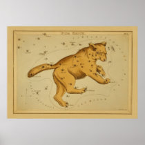 Ursa Major - Vintage Astronomical Star Chart Image Posters
