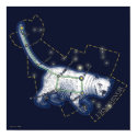 Ursa Minor (poster) posters