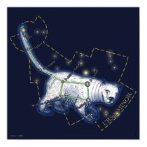 Ursa Minor (poster) posters