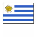 Uruguay Flag and Map T-Shirt by FlagAndMap Uruguay Flag and Map T-Shirt