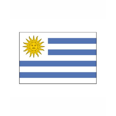 Uruguay FLAG International Tshirts by flagshirt
