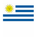 Uruguay Flag T-shirt