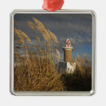 Uruguay, Montevideo Department, Montevideo. Christmas Ornament