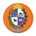 Uruguayan Emblem magnets