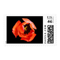 US 1st class postage stamp, Red Tulip