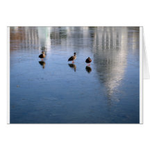 US Capitol Building in Winter photo Cards