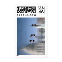 US Capitol Building in Winter photo Stamps