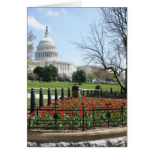 US Capitol building spring Card
