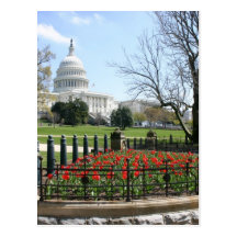 US Capitol building spring Post Card