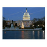 US Capitol celebrating Christmas photo Post Cards