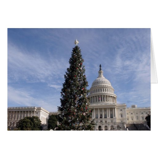 us capitol hill christmas tree card zazzle us capitol hill christmas tree card zazzle