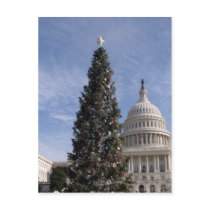 US Capitol Hill christmas tree postcards by janejiang US Capitol Hill christmas tree postcards
