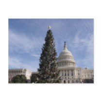 US Capitol Hill christmas tree postcards by janejiang US Capitol Hill christmas tree postcards