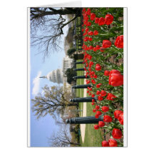 US Capitol spring flower Card