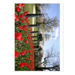US Capitol spring flower Postcard