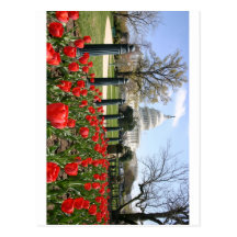 US Capitol spring flower Postcard