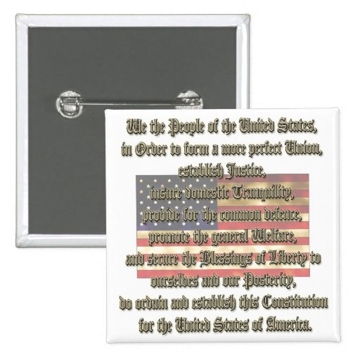 US Constitution Pins